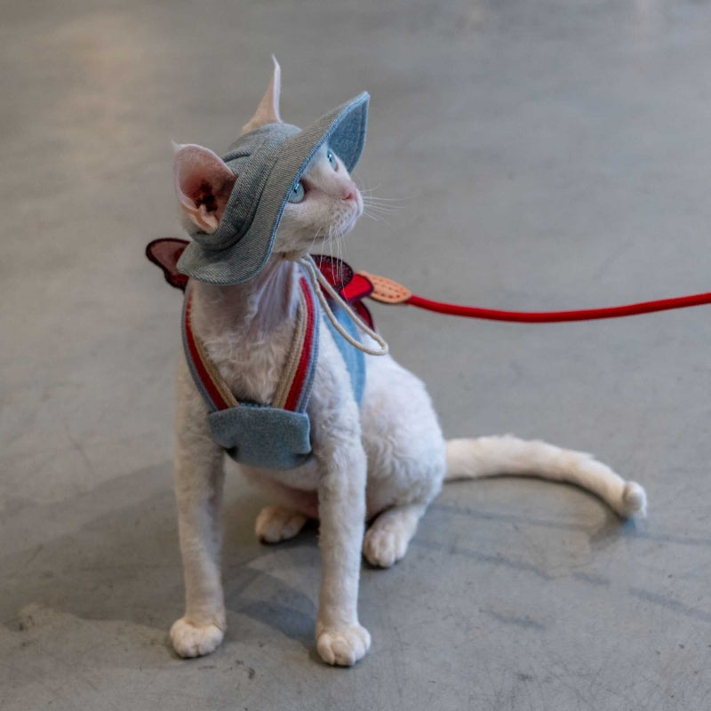 Sphynx Cat Chest Harness with Red Bow and Matching Leash